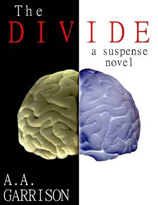 Book cover for The Divide