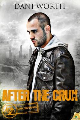 Book cover for After the Crux