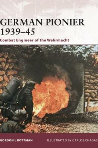 Cover of German Pionier 1939-45