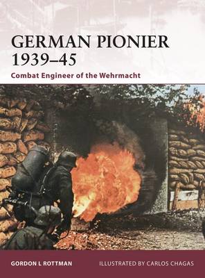 Cover of German Pionier 1939-45