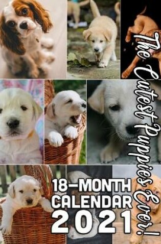 Cover of The Cutest Puppies Ever! 18-Month Calendar 2021