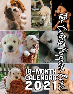 Book cover for The Cutest Puppies Ever! 18-Month Calendar 2021