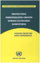 Book cover for Protecting Marginalized Groups During Economic Downturns