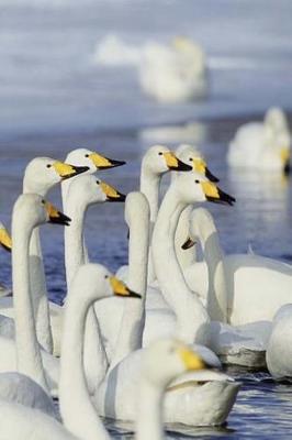 Cover of Winter Theme Journal Gaggle Geese