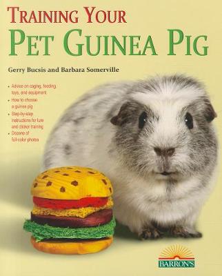 Book cover for Training Your Guinea Pig