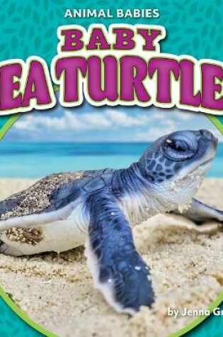 Cover of Baby Sea Turtles