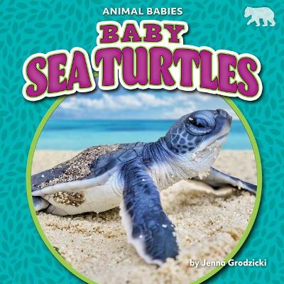 Book cover for Baby Sea Turtles