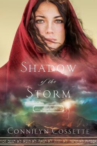 Cover of Shadow of the Storm