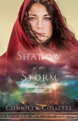 Book cover for Shadow of the Storm