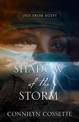 Cover of Shadow of the Storm