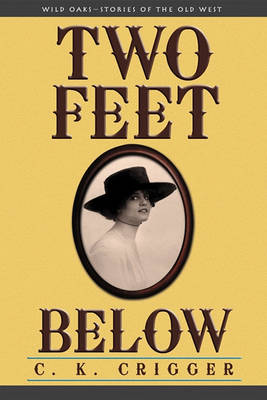 Book cover for Two Feet Below