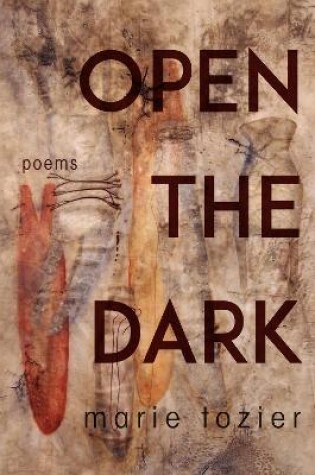 Cover of Open the Dark