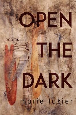 Book cover for Open the Dark
