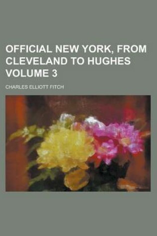 Cover of Official New York, from Cleveland to Hughes (Volume 2)