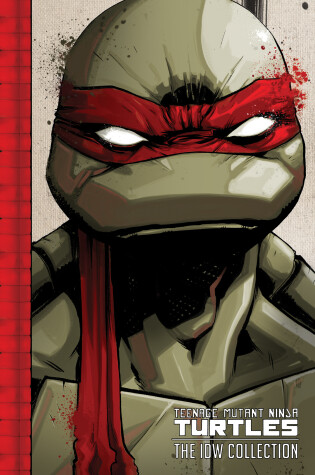 Cover of Teenage Mutant Ninja Turtles: The IDW Collection Volume 1