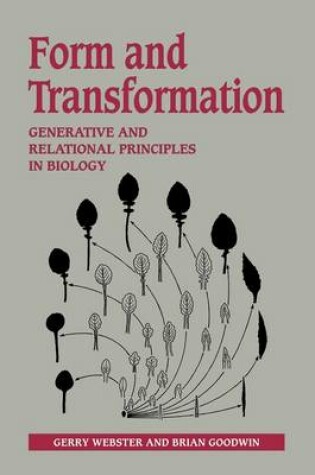 Cover of Form and Transformation