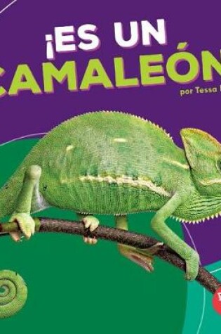 Cover of ¡es Un Camaleón! (It's a Chameleon!)