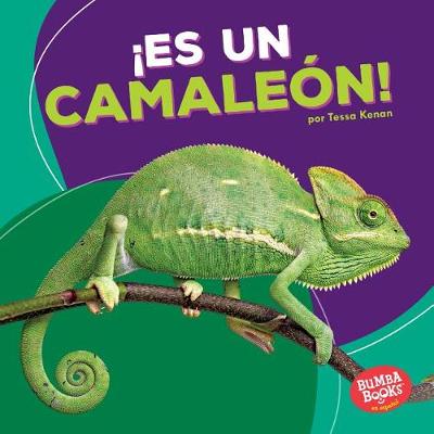 Book cover for ¡Es un camaleón! (It's a Chameleon!)