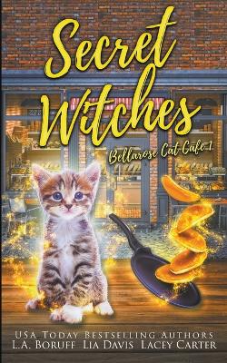 Cover of Secret Witches