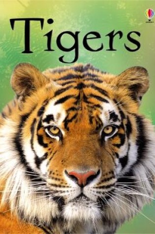 Cover of Tigers