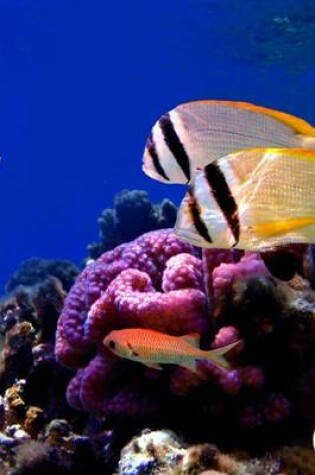 Cover of Tropical Fish and Coral on the Reef