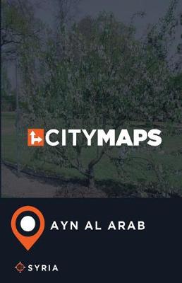 Book cover for City Maps Ayn al Arab Syria