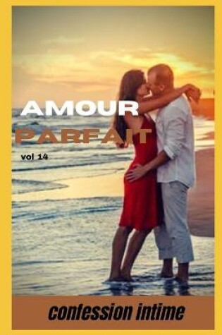 Cover of Amour parfait (vol 14)