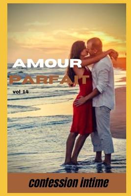 Book cover for Amour parfait (vol 14)