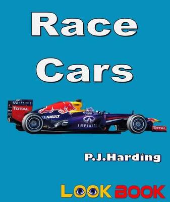 Book cover for Race Cars