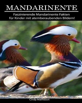 Book cover for Mandarinente