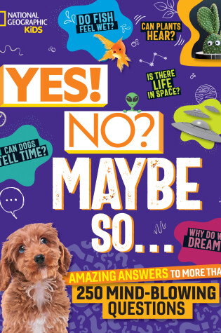 Cover of Yes! No? Maybe So...