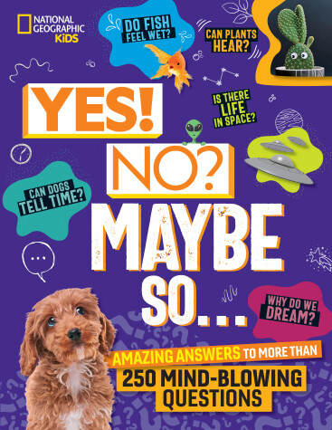 Book cover for Yes! No? Maybe So...