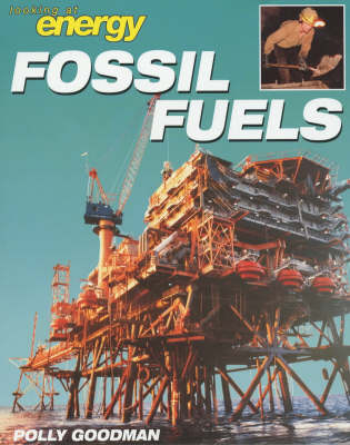 Book cover for Fossil Fuels