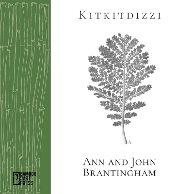 Book cover for Kitkitdizzi