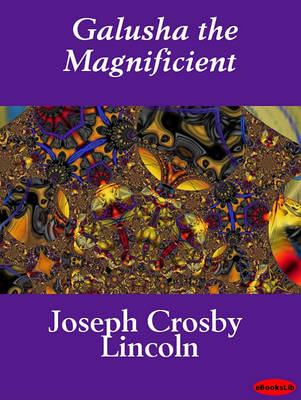 Book cover for Galusha the Magnificient