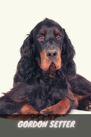 Cover of Gordon Setter