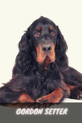 Book cover for Gordon Setter