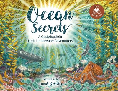 Book cover for Ocean Secrets