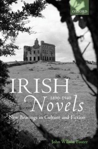 Cover of Irish Novels 1890-1940