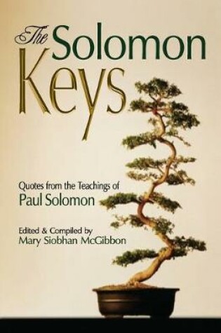 Cover of The Solomon Keys