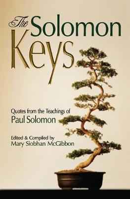 Book cover for The Solomon Keys