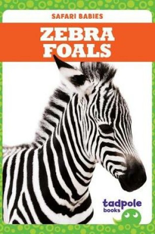 Cover of Zebra Foals