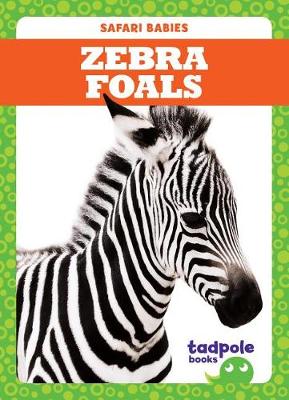Book cover for Zebra Foals
