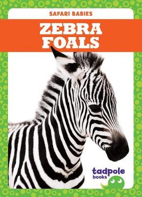 Cover of Zebra Foals