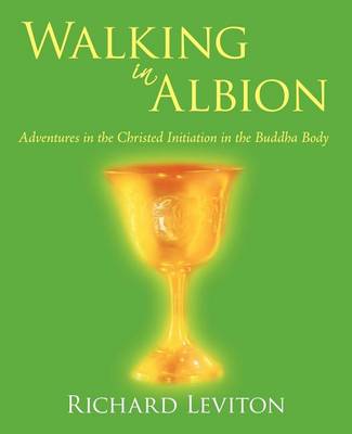 Book cover for Walking in Albion