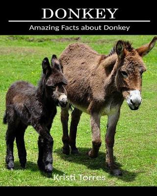 Book cover for Amazing Facts about Donkey