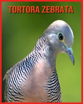 Book cover for Tortora Zebrata