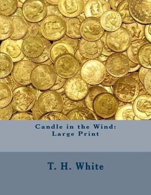 Book cover for Candle in the Wind