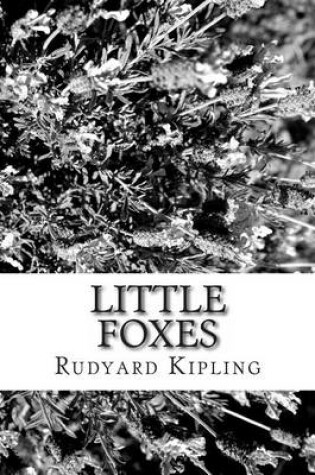 Cover of Little Foxes Large Print Edition