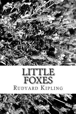 Book cover for Little Foxes Large Print Edition